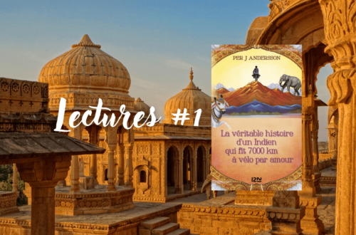 Lectures #1 - "La véritable histoire d’un Indien qui fit 7000 km à vélo par amour" de Per J. Andersson