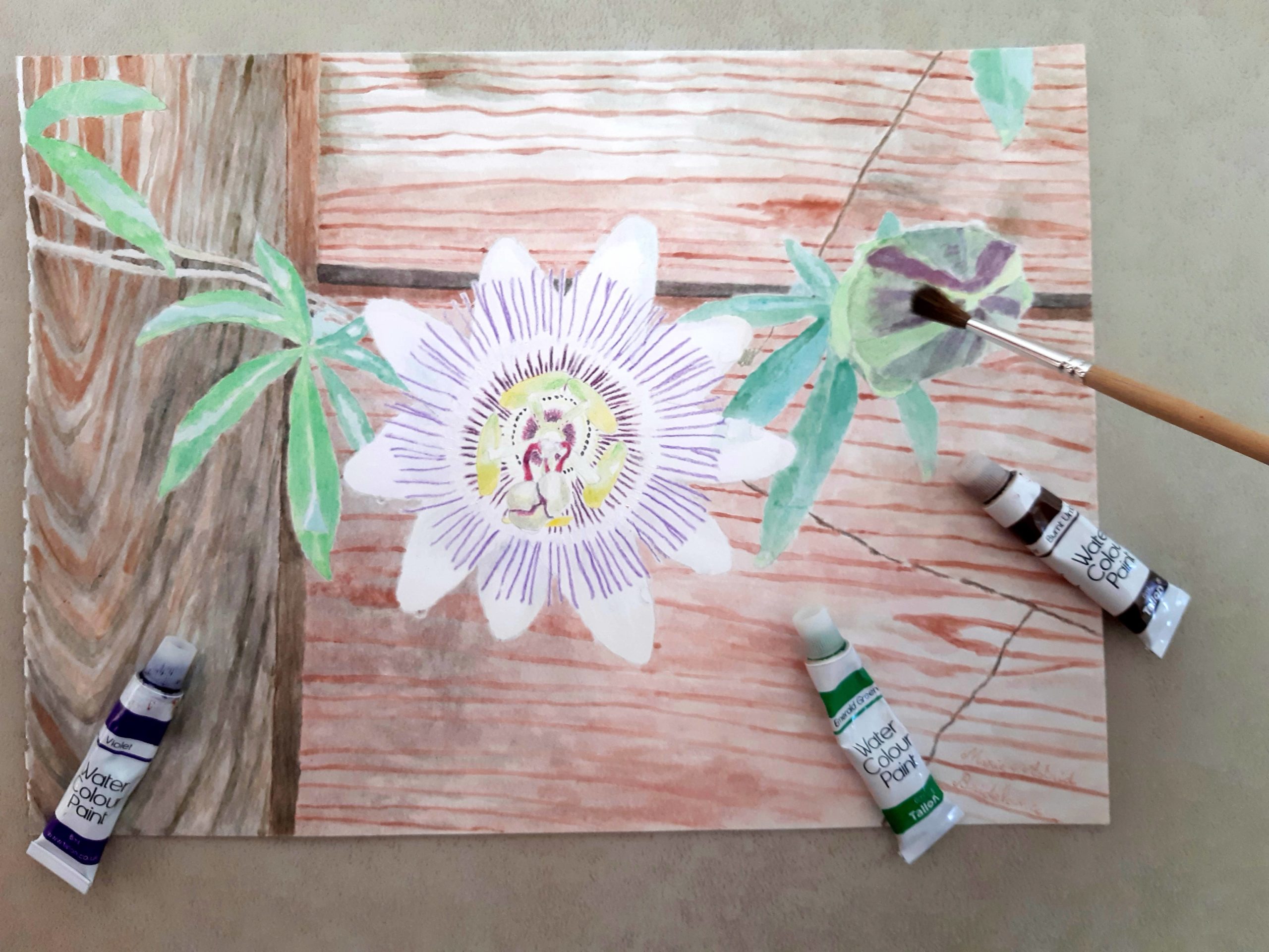 Mes premiers pas à l'aquarelle : fleur de passiflore sur une barrière en bois