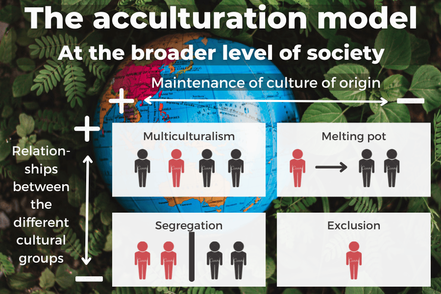 The acculturation model at the broader level of society