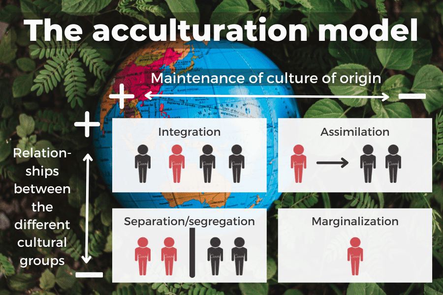 The acculturation model