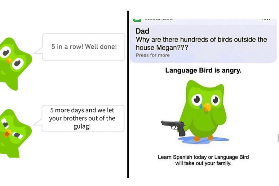 Duolingo Meme Template