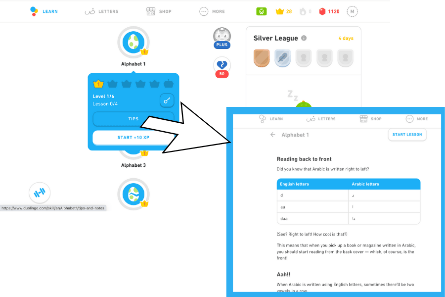 Tips Duolingo