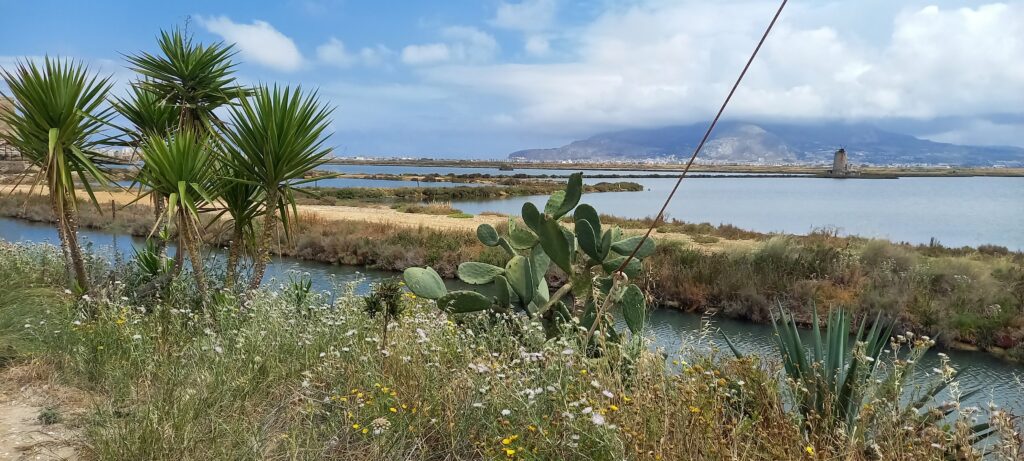 Salt pans of Trapani, road trip in Western Sicily